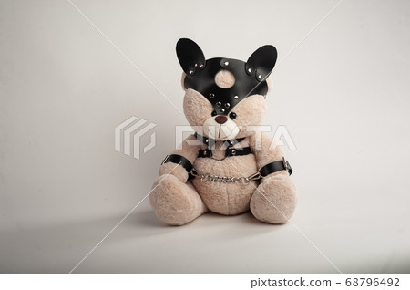 toy bear dressed in leather belts harness accessory for bdsm games on a light background toy bear dressed in leather belts harness accessory for bdsm games on a light background 68796492