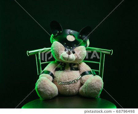 toy bear dressed in leather belts harness accessory for bdsm games on a dark background toy bear dressed in leather belts harness accessory for bdsm games on a dark background 68796498