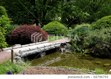 植物區系，自然，綠色，公園，花園，樹木，葉子，花園，樹木，花，池塘 68796793