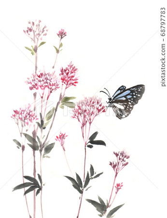 在富士Bakuma的Asagi madara 在富士Bakuma的Asagi madara 68797783