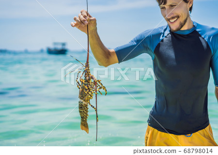Lobster in the hands of a diver. Spiny lobster inhabits tropical and subtropical waters 68798014