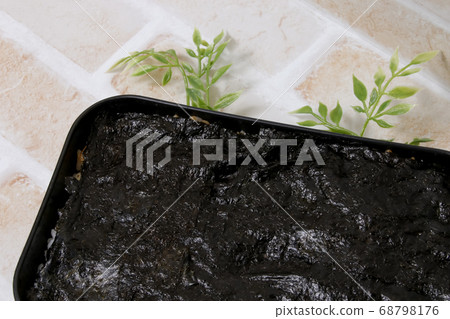 便當，紫菜，紫菜午餐，紫菜，日本料理，午餐 68798176