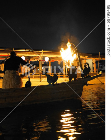 Nagara Cormorant Cormorant 68798499