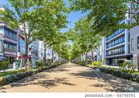 [神奈川縣]鎌倉鶴岡八man宮的Dankuzu，擁有美麗的夏季綠化帶 68798761