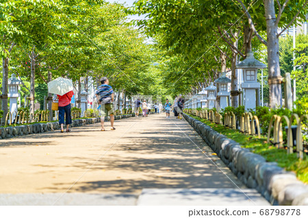 [神奈川縣]鎌倉鶴岡八man宮的Dankuzu，擁有美麗的夏季綠化帶 68798778