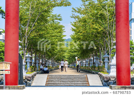 [神奈川縣]鎌倉：鶴岡八man宮的第二個鳥居和Dankatsu，有著美麗的綠色夏天 68798783