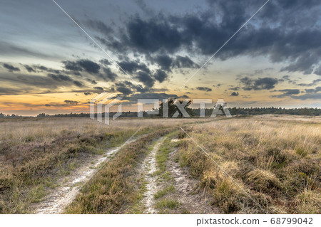 Natural heathland landscape near Hijken Natural heathland landscape near Hijken 68799042