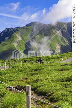 [North Alps/Tateyama] Murodo 68799332