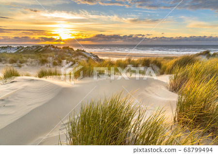 View from dune top over North Sea View from dune top over North Sea 68799494