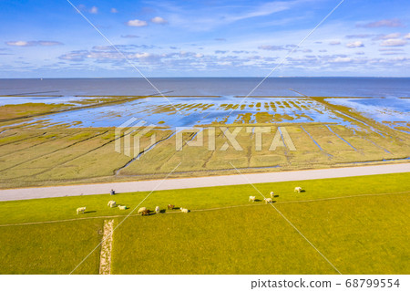 Aerial view sea dike national park Waddensea 68799554