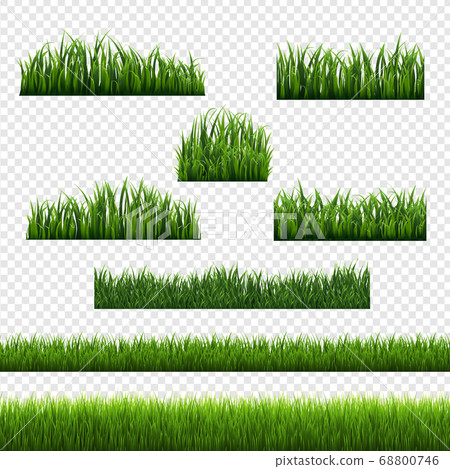 Green Grass Frames Transparent Background 68800746