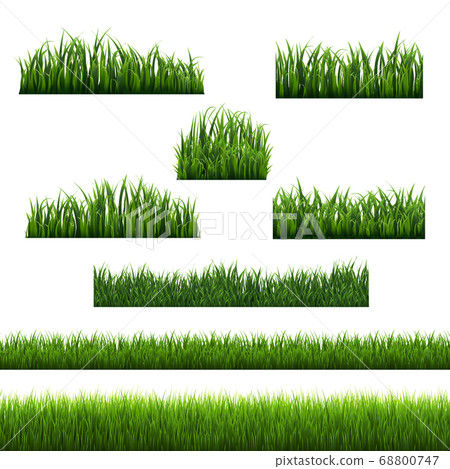 Green Grass Frames White Background 68800747