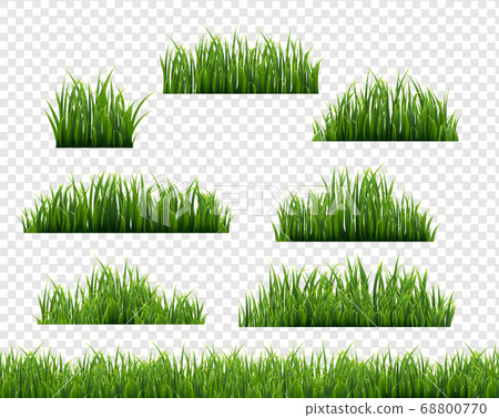 Green Grass Frame Transparent Background 68800770