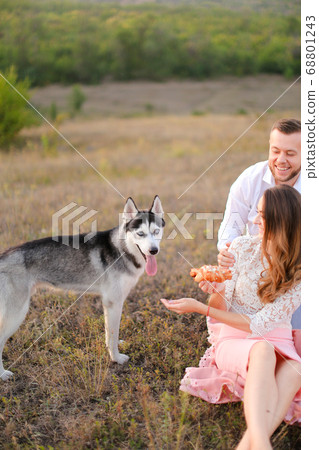 Young girl and boy sitting on grass near husky and resting. Young girl and boy sitting on grass near husky and resting. 68801243