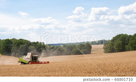 Combine harvester harvests ripe wheat in field Combine harvester harvests ripe wheat in field 68801710