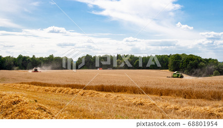 Combines at work in field during wheat harvesting Combines at work in field during wheat harvesting 68801954