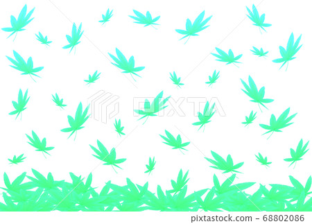 Maple background (turquoise) 68802086