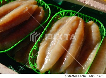 輪島河豚 68802378