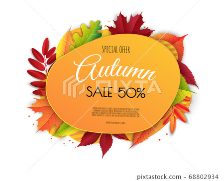 Autumn sale background layout decorate with leaves for shopping sale. Frame leaflet or web banner. Vector illustration template. 68802934
