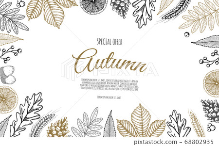 Background with Autumn Leaves . Drawing hand image, vector illustration. Background with Autumn Leaves . Drawing hand image, vector illustration. 68802935