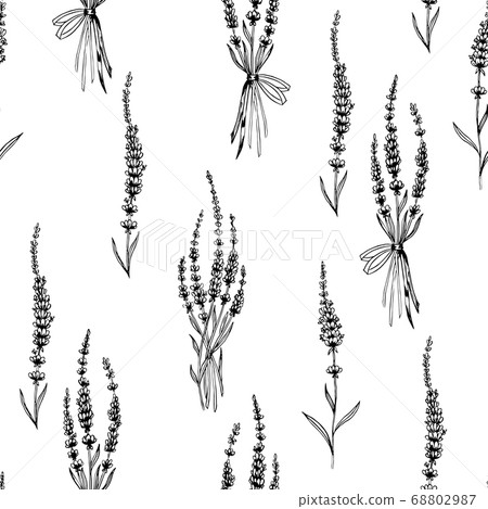 Hand drawn vector lavender flower seamless... - Stock Illustration ...