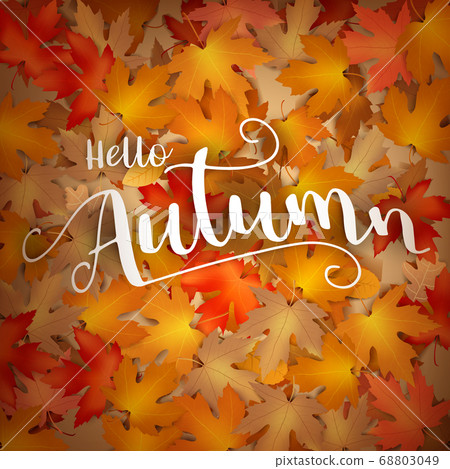 Autumn backgorund with dry leaf falling on 68803049