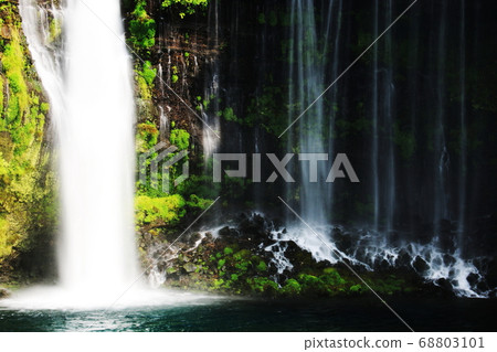 Mt. Fuji's summer waterfall Shiraito no Taki, silky water flow Mt. Fuji's summer waterfall Shiraito no Taki, silky water flow 68803101