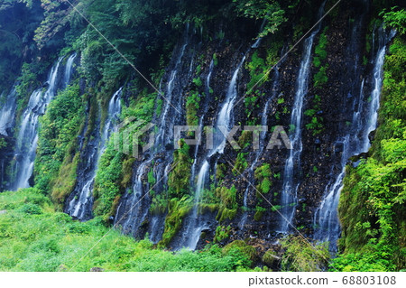 Mt. Fuji's summer waterfall Shiraito no Taki, silky water flow Mt. Fuji's summer waterfall Shiraito no Taki, silky water flow 68803108