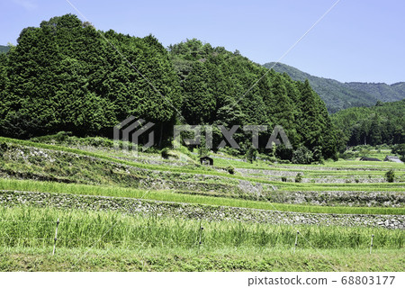 Iwazagami "Tanada no Natsu" 68803177