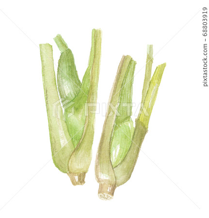 d岳新竹武 d岳新竹武 68803919