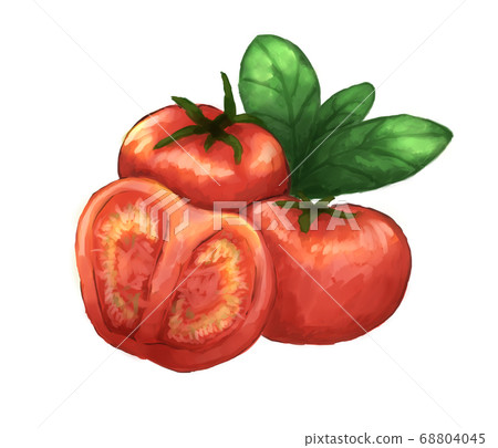 Tomatoes and herbs 68804045
