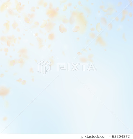 Yellow orange flower petals falling down. Extraord Yellow orange flower petals falling down. Extraord 68804872
