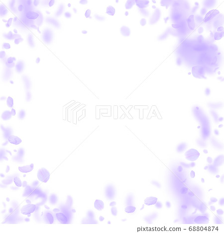 Violet flower petals falling down. Awesome romanti Violet flower petals falling down. Awesome romanti 68804874