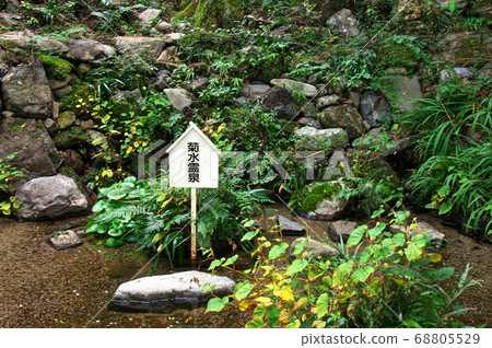 Yoro Falls, Kikusui Izumi (Gifu Prefecture) Yoro Falls, Kikusui Izumi (Gifu Prefecture) 68805529