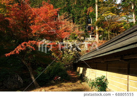 華嚴寺在秋天的顏色：岐阜 68805555