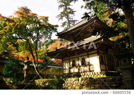 Kegonji Temple in autumn colors: Gifu 68805556