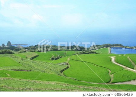 Togo Hata Rice Terraces, 100 Selected Rice Terraces in Japan Togo Hata Rice Terraces, 100 Selected Rice Terraces in Japan 68806429