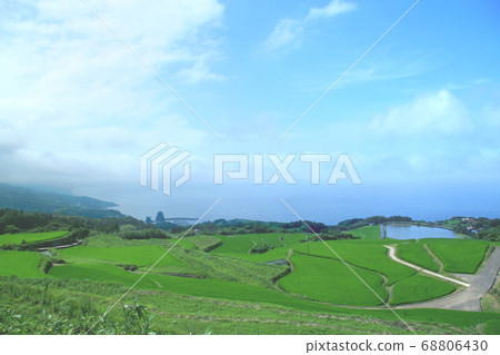 Togo Hata Rice Terraces, 100 Selected Rice Terraces in Japan Togo Hata Rice Terraces, 100 Selected Rice Terraces in Japan 68806430