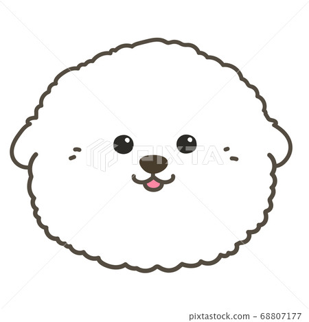 Bichon Frize puppy face with main line 68807177