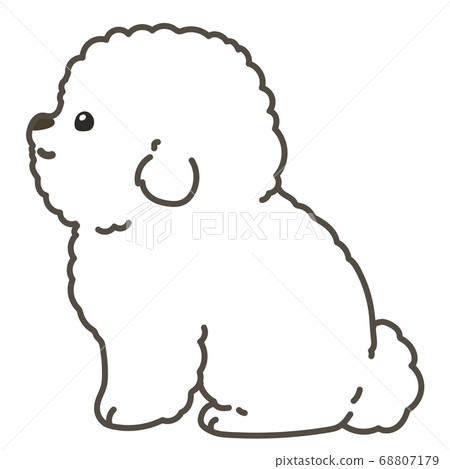 比熊犬小狗坐在側面與主線 比熊犬小狗坐在側面與主線 68807179