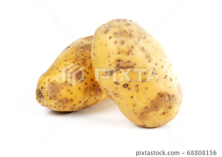 Unpeeled raw potatoes Unpeeled raw potatoes 68808156
