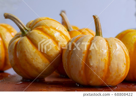 Fresh, pumpkin, fresh なカボチャ、Fresh, pumpkin, Fresh, pumpkin, fresh なカボチャ、Fresh, pumpkin, 68808422