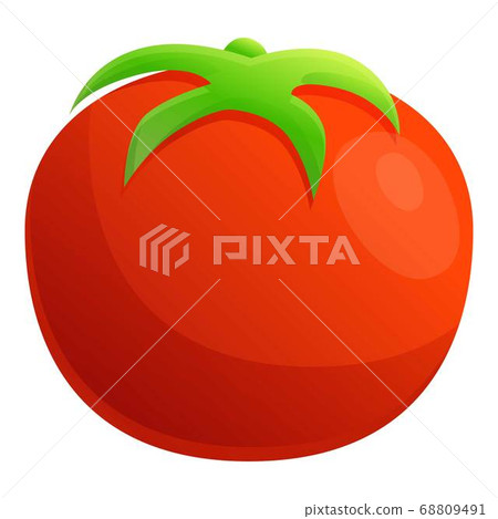 Farm eco tomato icon, cartoon style 68809491