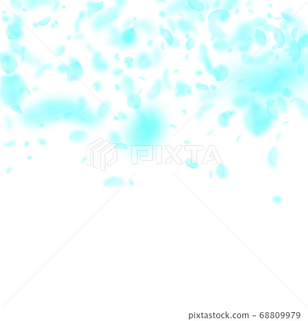 Turquoise flower petals falling down. Dazzling rom Turquoise flower petals falling down. Dazzling rom 68809979