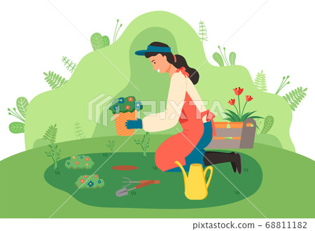 A female gardener sits flowers in the garden. Garden tools. Floristics and gardening. Flat image A female gardener sits flowers in the garden. Garden tools. Floristics and gardening. Flat image 68811182