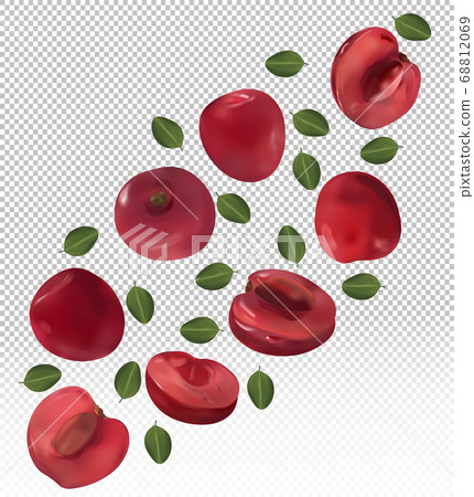 Set of cherries with leaves on transparent background. Motion cherry. Flying cherry are whole and cut in half. Ripe fresh cherry rich in vitamins, natural product. Realistic vector illustration. Set of cherries with leaves on transparent background. Motion cherry. Flying cherry are whole and cut in half. Ripe fresh cherry rich in vitamins, natural product. Realistic vector illustration. 68812069