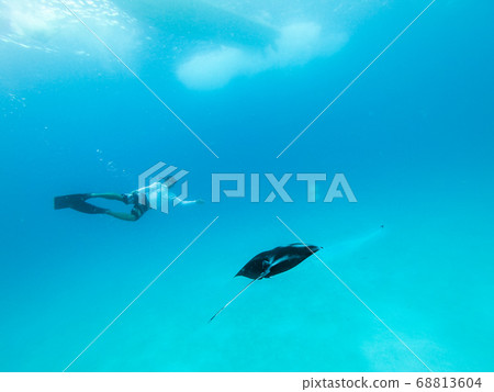 Underwater view of hovering Giant oceanic manta ray, Manta Birostris , and man free diving in blue ocean. Watching undersea world during adventure snorkeling tour on Maldives islands. 68813604
