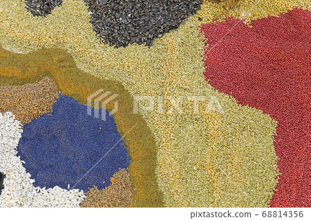 Grain seeds 68814356