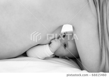 a baby is breastfed eats lying. black-white a baby is breastfed eats lying. black-white 68815460