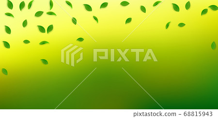 Falling green leaves. Fresh tea random leaves flyi 68815943